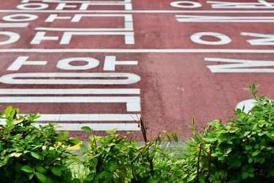 High angle view of text on footpath