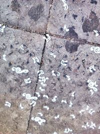 Close-up high angle view of weathered wall