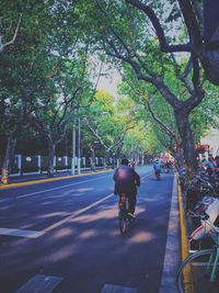 Rear view of woman riding bicycle on road