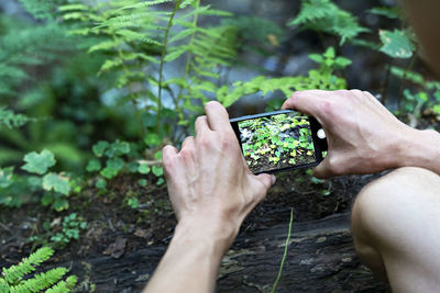 Cropped hand of woman holding plant