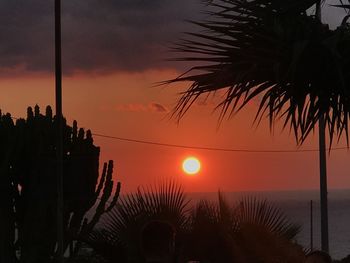 Silhouette palm trees against sky during sunset