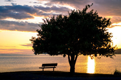 Scenic view of tree by sea against sky during sunset