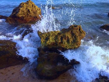 Scenic view of sea