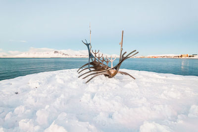 Dead plant on land against sea