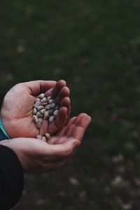 Close-up of hands holding stones