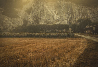 Scenic view of field against sky