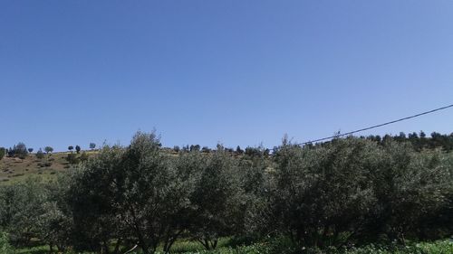 Panoramic view of landscape against clear blue sky