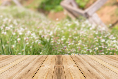 Surface level of wooden table in park