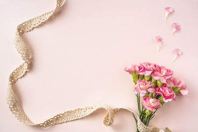 Close-up of pink rose against white background