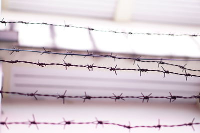 Close-up of barbed wire against chainlink fence