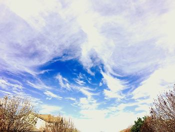 Low angle view of trees against cloudy sky