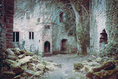 Old building by trees