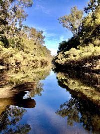 Reflection of trees in lake against sky