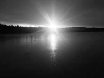 Sun shining through trees