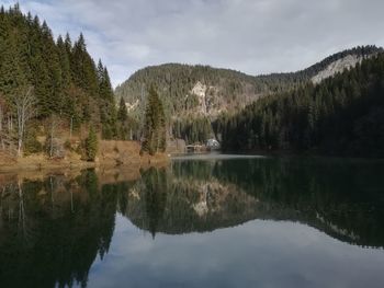 Scenic view of lake by trees against sky