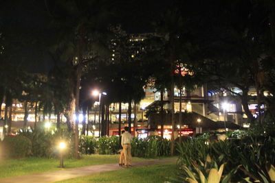 Illuminated trees at night