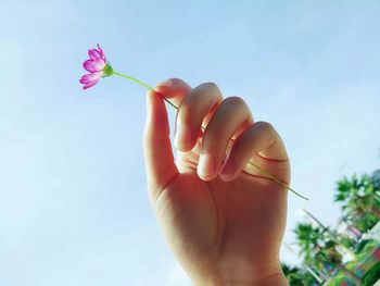 Close-up of hand holding flowers against sky