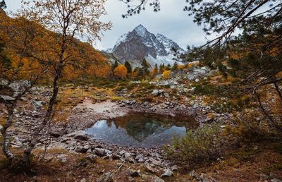 Scenic view of lake amidst trees against sky during autumn