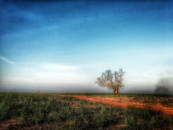 Scenic view of field against cloudy sky