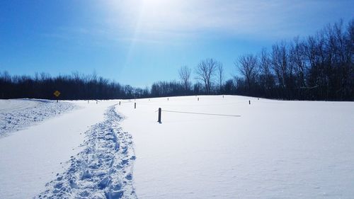 Trees on snow covered landscape against sky