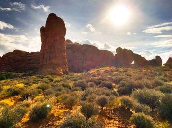 Scenic view of landscape against sky