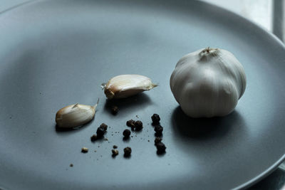 High angle view of eggs on table