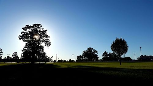 Trees on field against clear sky