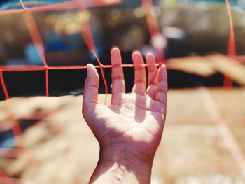 Close-up of hand holding leaf against blurred background