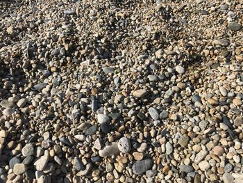 Full frame shot of pebbles on beach