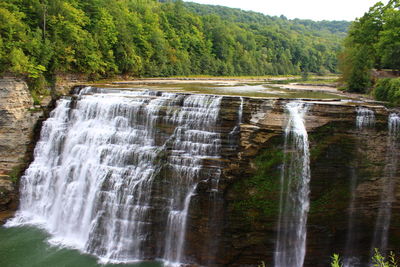 Scenic view of waterfall in forest