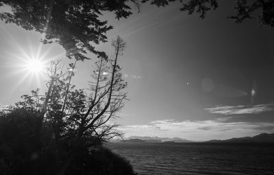 Scenic view of trees against sky