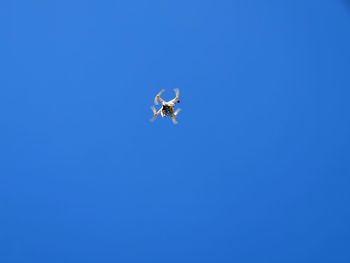 Low angle view of helicopter flying against clear blue sky