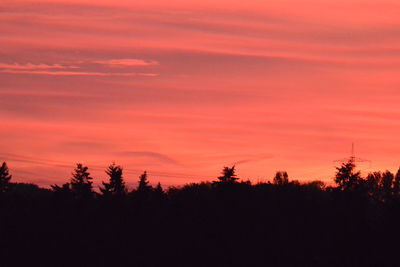 Silhouette trees against sky during sunset