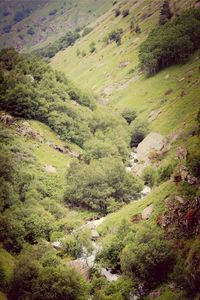 High angle view of green landscape