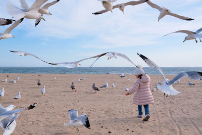 Pretty young girl surrounded by seagulls in flight