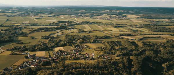 High angle view of agricultural field