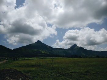 Scenic view of field against sky