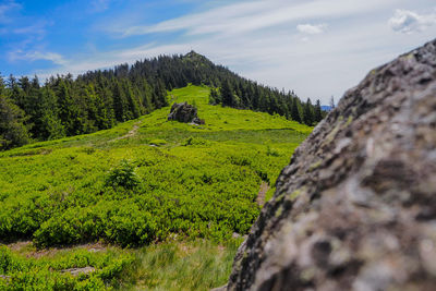 Scenic view of land against sky