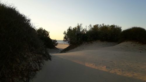 Scenic view of sand dunes against clear sky