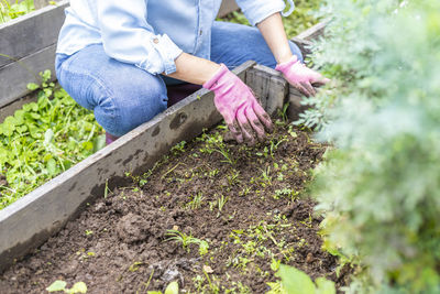 Low angle view of person working in farm