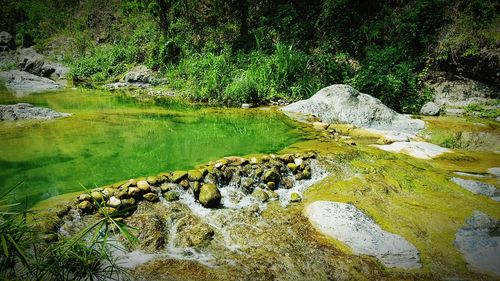 Stream flowing through rocks