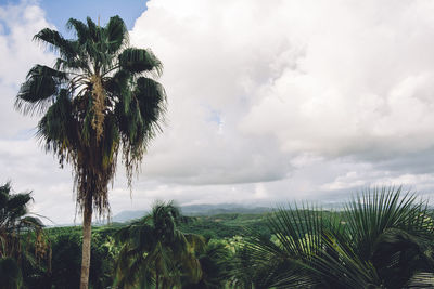 Scenic view of field against cloudy sky