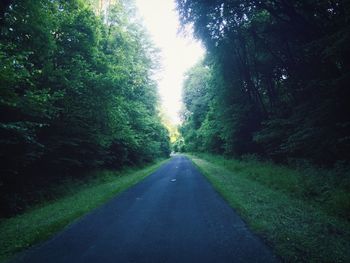 Road passing through trees