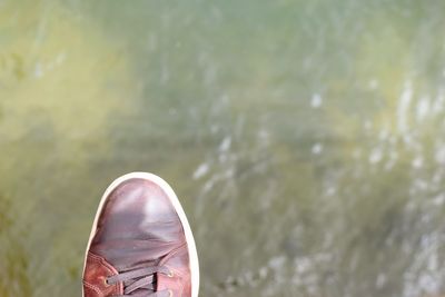 Low section of person standing in water