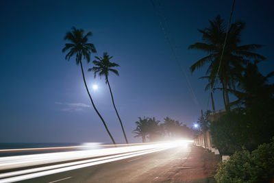 Light trail of car on coastal road at full moon night. seashore with paml trees in sri lanka.