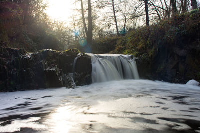 Waterfall in forest