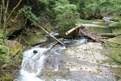 Scenic view of river flowing through rocks