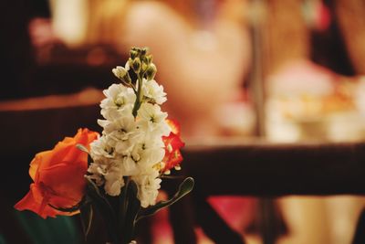 Close-up of flower bouquet