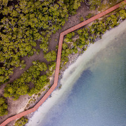 Aerial view of boardwalk by sea and trees