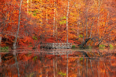 Reflection of trees in lake during autumn